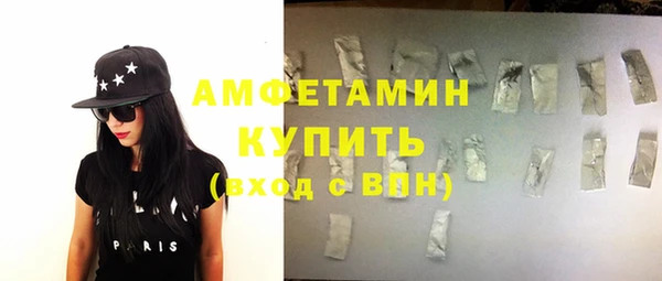 прущий лед Алзамай