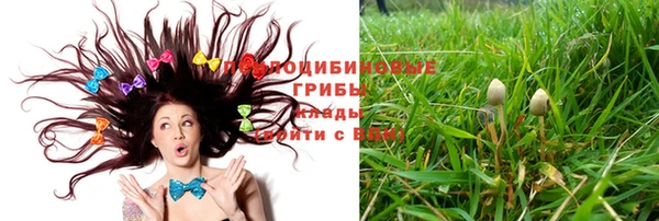 прущий лед Алзамай