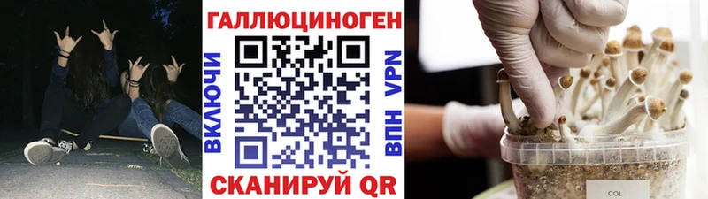 Псилоцибиновые грибы мухоморы  blacksprut маркетплейс  Южно-Сахалинск 